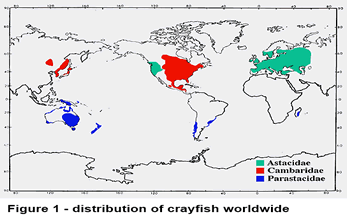 Distribution Map